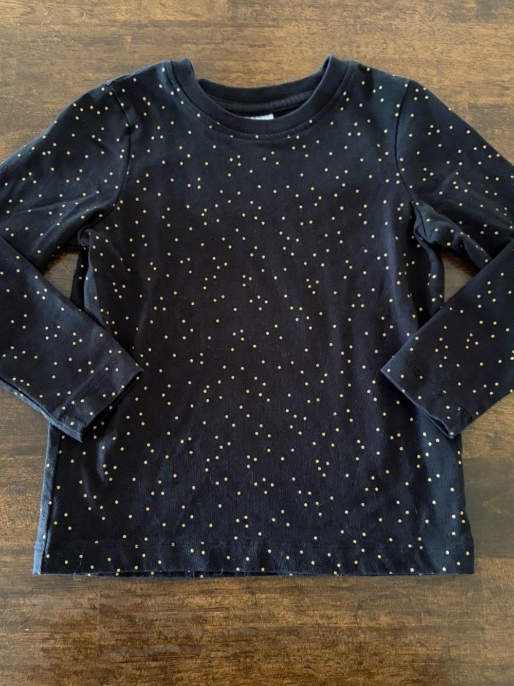 Hanna Andersson Girls Toddler Shirt- like new! Size 4